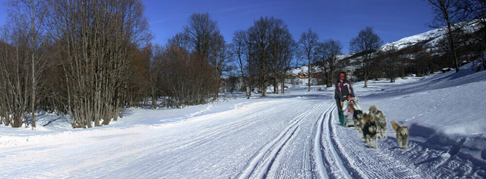 79